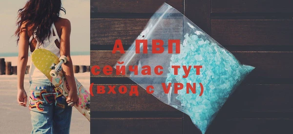 стаф Арсеньев
