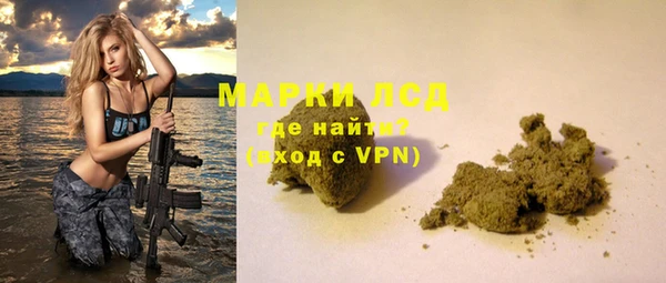 стаф Арсеньев