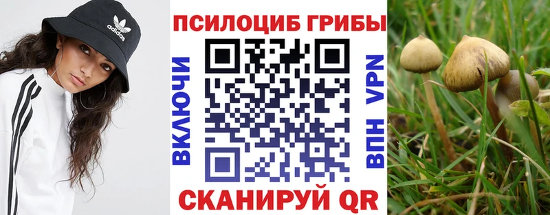 Галлюциногенные грибы мухоморы продажа наркотиков Долгопрудный