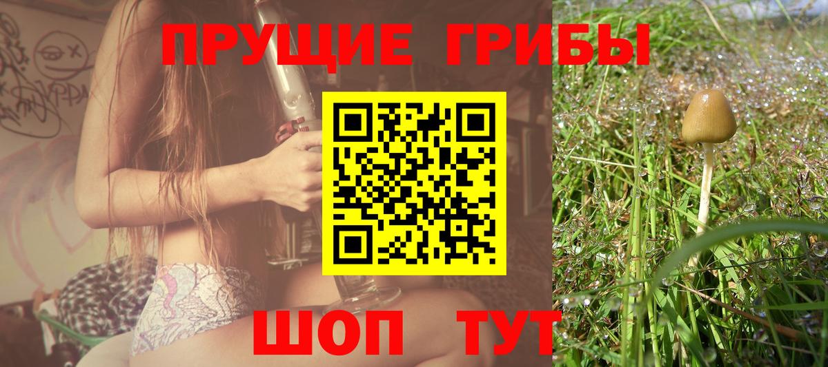 Галлюциногенные грибы мицелий Долгопрудный
