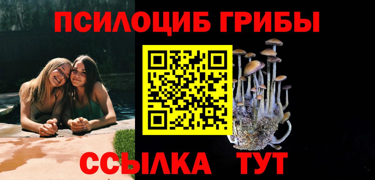 Долгопрудный  Галлюциногенные грибы GOLDEN TEACHER  Вход с VPN 